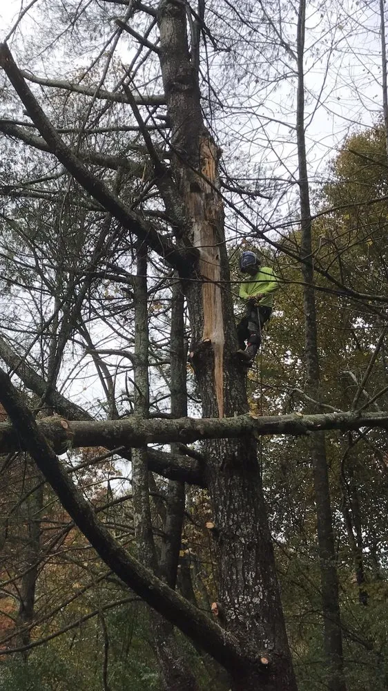 Affordable landscape installation for year-round maintenance across Bonne Terre, MO - J & R Outdoor Services