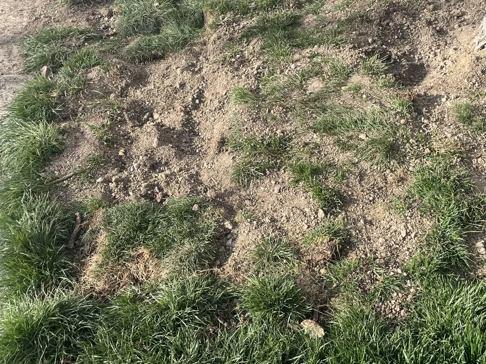 Affordable landscape design with custom design in West Jordan, UT by J & R Property Maintenance