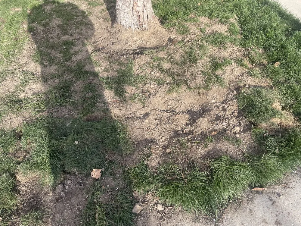 Reliable residential landscaping experts serving West Jordan, UT - J & R Property Maintenance