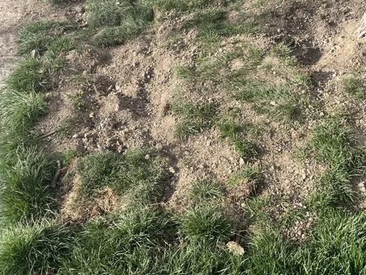 J & R Property Maintenance Logo