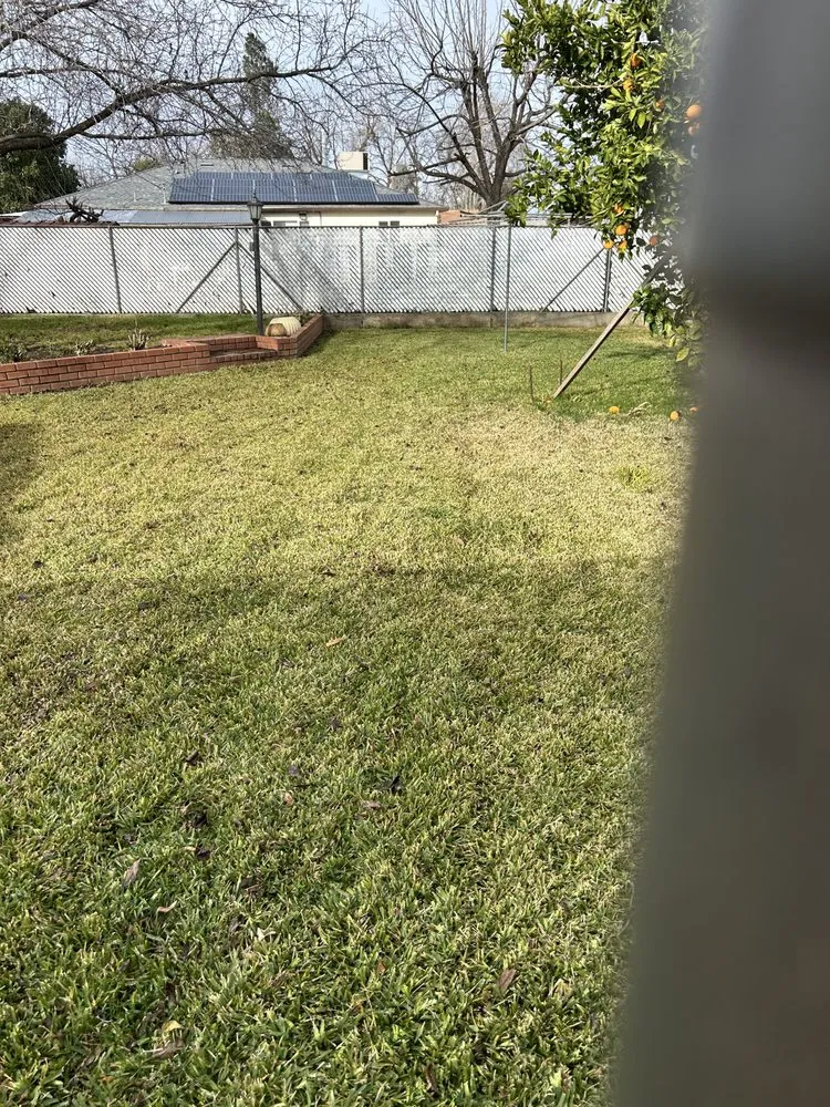 Top-rated residential landscaping in Chico, CA - J & R Tree & Lawn Care