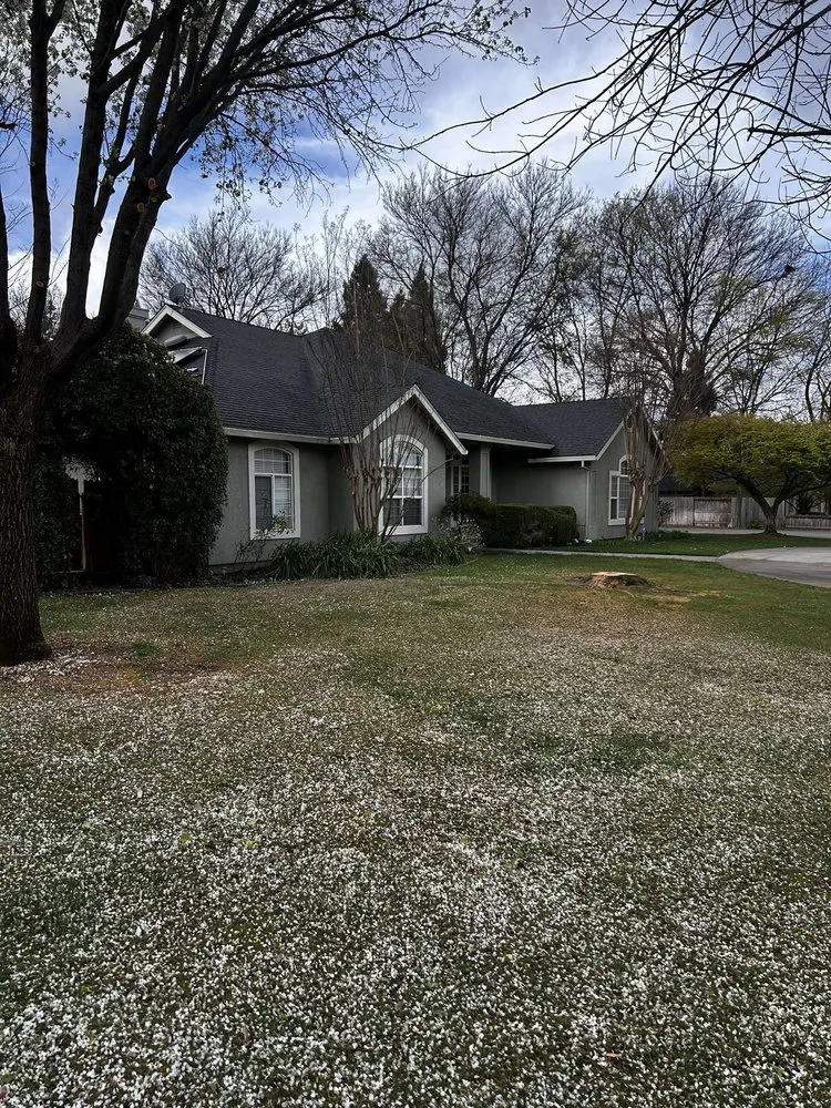 Professional landscaping services experts serving Chico, CA - J & R Tree & Lawn Care