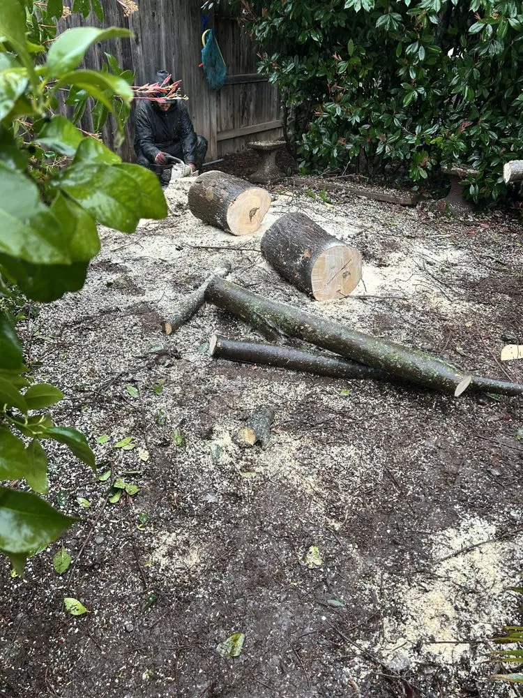 Custom landscaping services for outdoor upgrades across Chico, CA - J & R Tree & Lawn Care