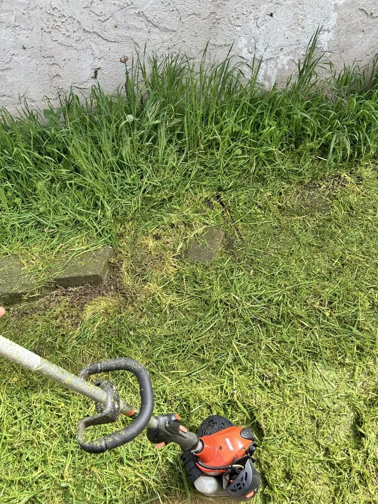 Reliable residential landscaping near you across Chico, CA - J & R Tree & Lawn Care