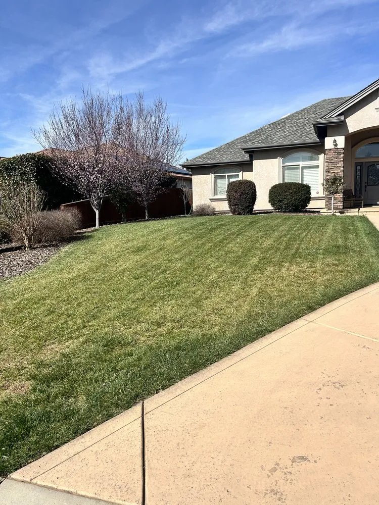 Expert yard cleanup service experts serving Chico, CA - J & R Tree & Lawn Care