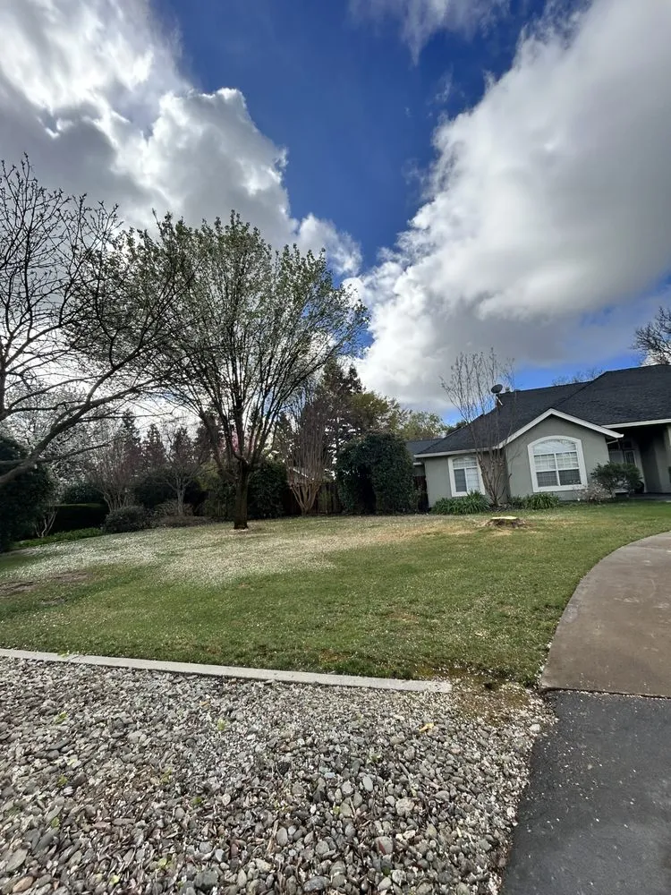 Expert landscape design in Chico, CA - J & R Tree & Lawn Care