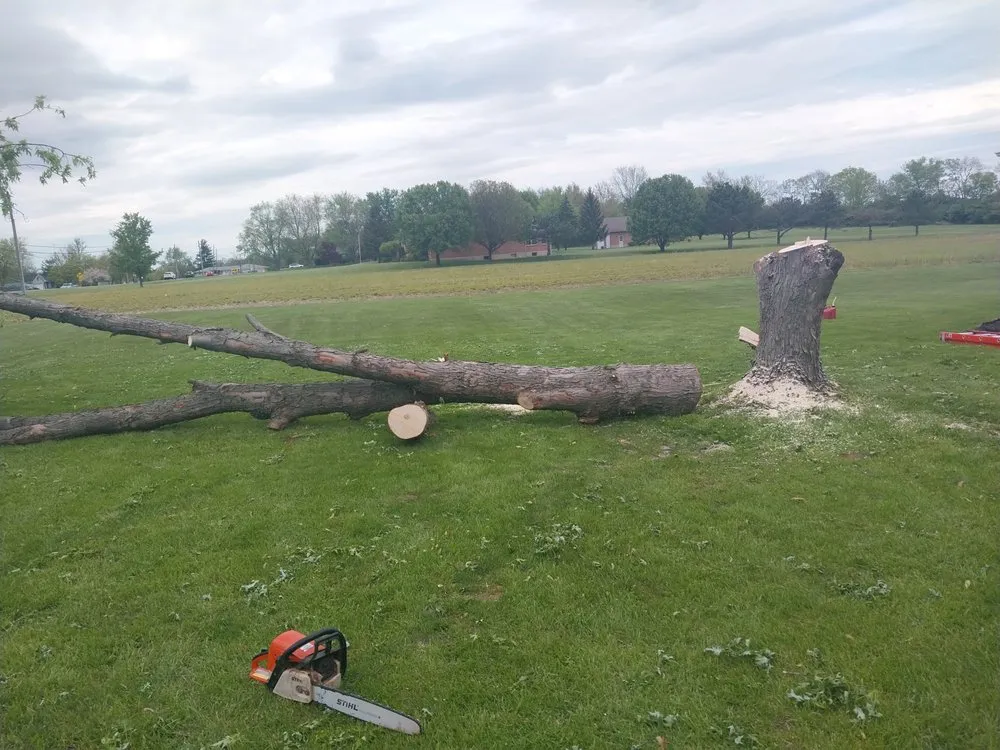 Affordable lawn care service with custom design in Liberty Township, OH by J & R Tree Service