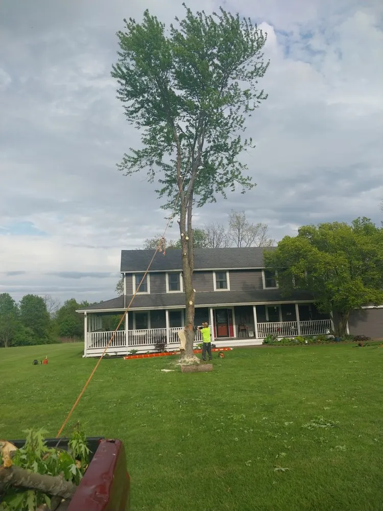 Local landscape design in Liberty Township, OH - J & R Tree Service