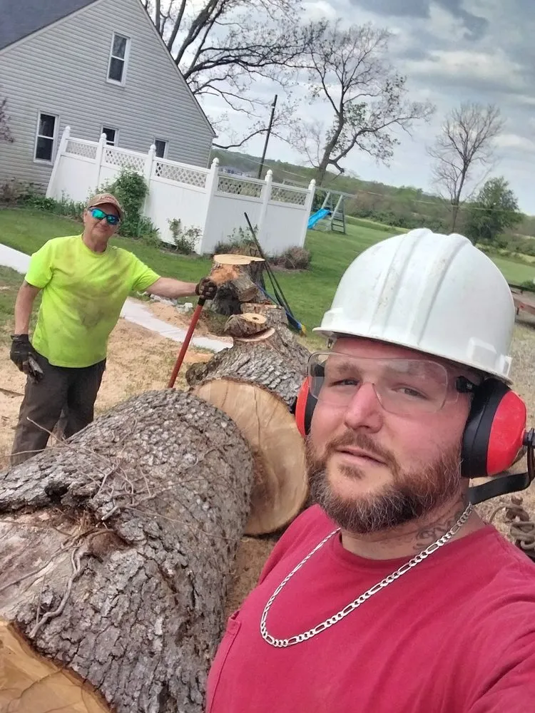 Top-rated yard cleanup service in Liberty Township, OH - J & R Tree Service