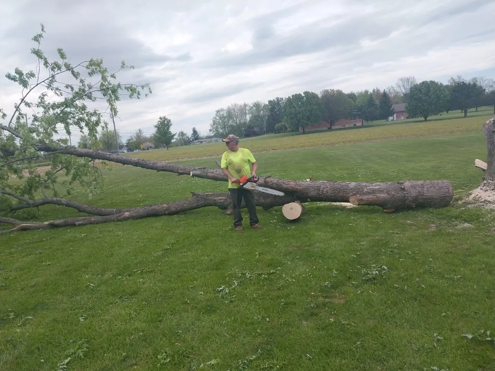 Expert residential landscaping in Liberty Township, OH - J & R Tree Service