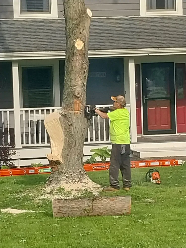 Affordable lawn mowing service in Liberty Township, OH by J & R Tree Service