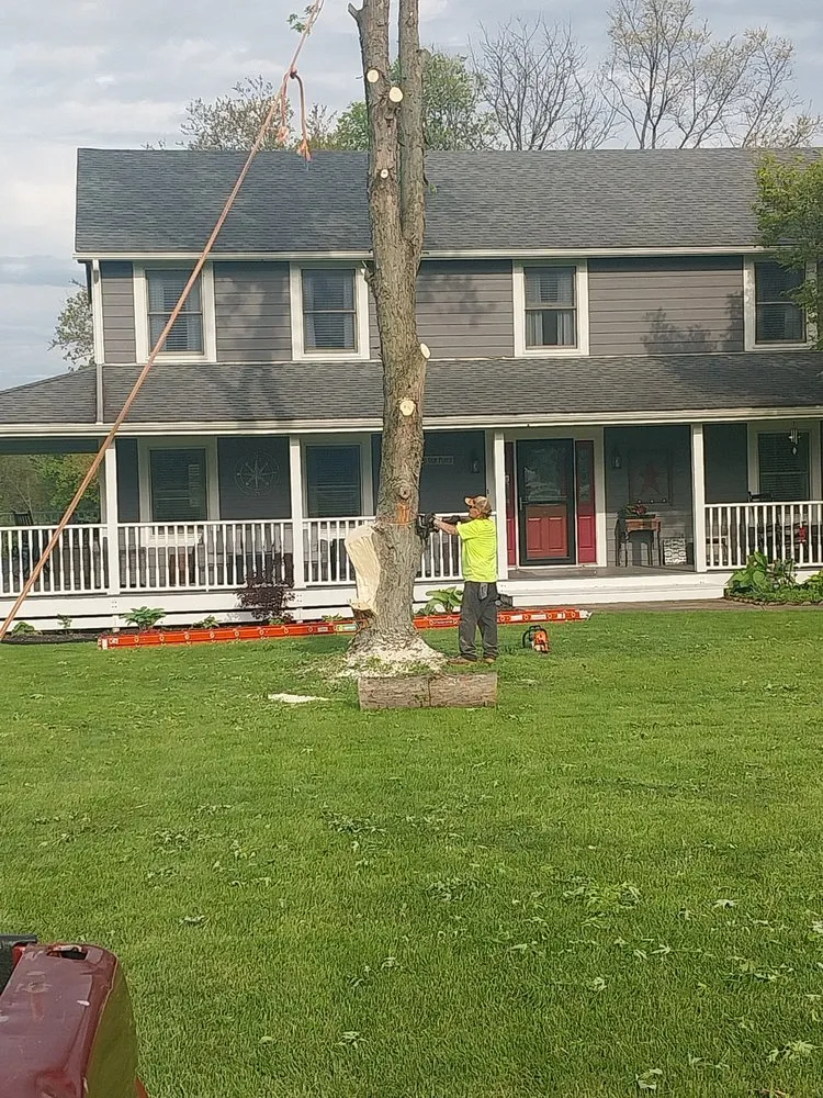 Affordable landscaping services in Liberty Township, OH - J & R Tree Service