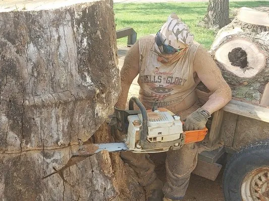 J & R Tree Service Logo