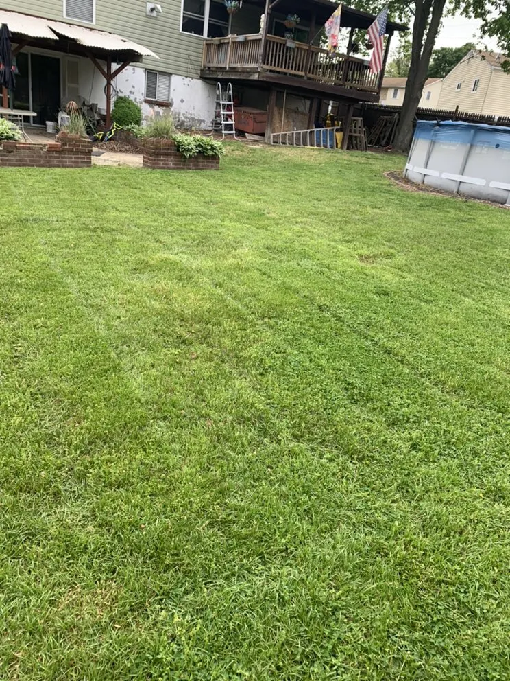 Professional yard cleanup service experts serving Glen Burnie, MD - J & R Unlimited Landscaping
