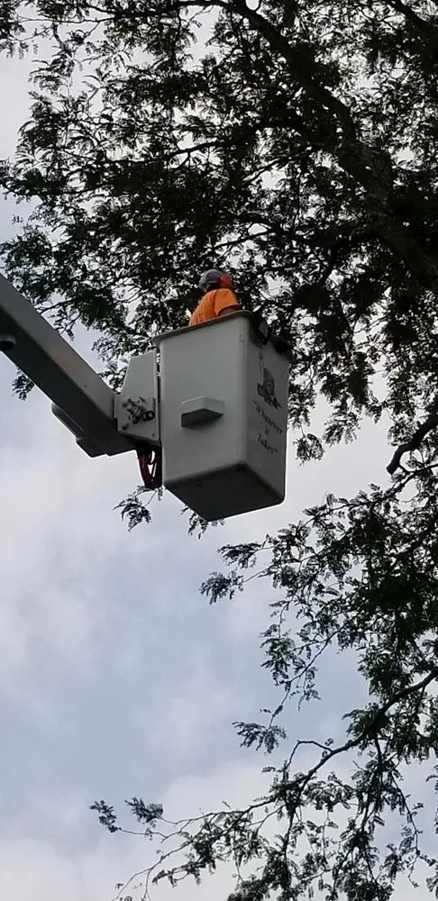 Trusted lawn care service in Murrysville, PA by J & S Enterprises