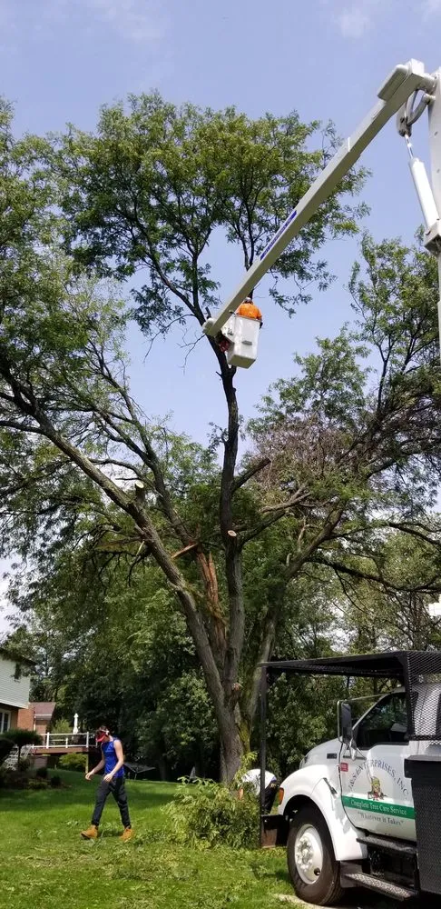 Local landscaping services for homes in Murrysville, PA by J & S Enterprises