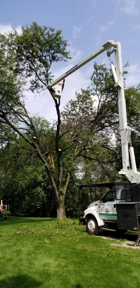 Reliable landscaping services experts serving Murrysville, PA - J & S Enterprises