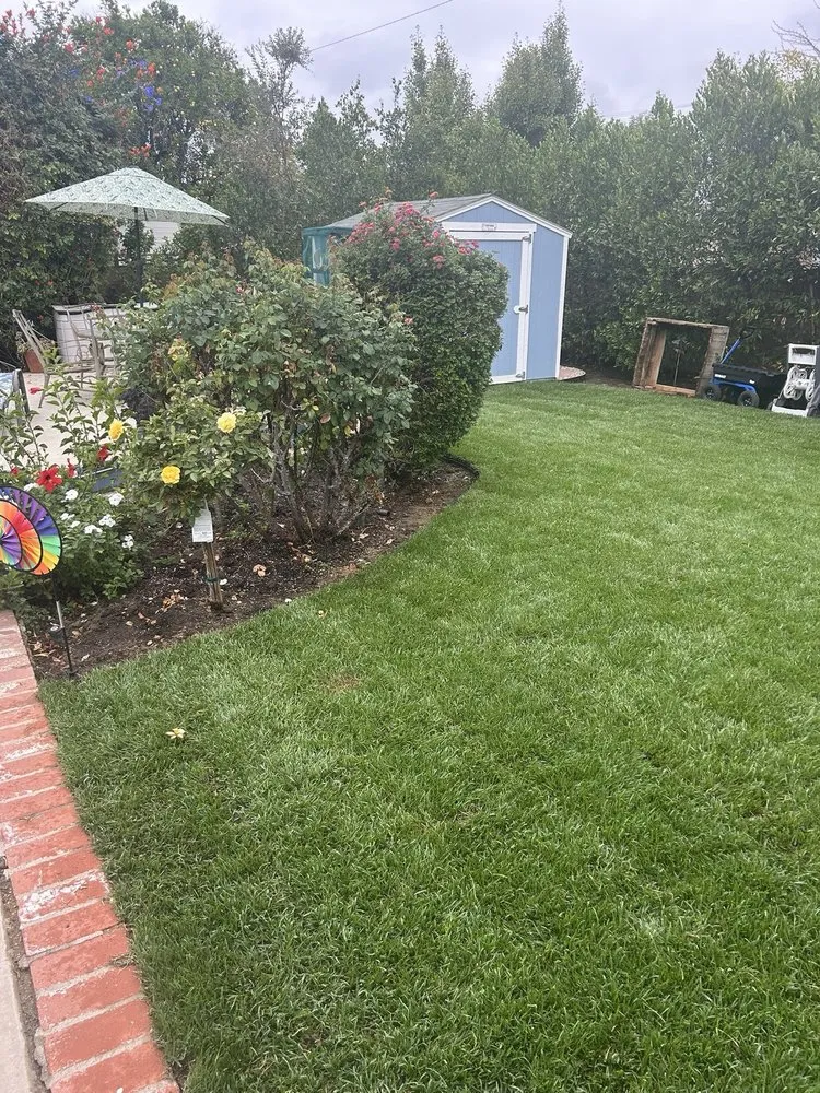 Custom yard maintenance for residential properties in Oxnard, CA by J & S Landscape