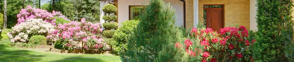 Professional landscaping services experts serving Odessa, TX - J & S Landscaping and Lawn Services