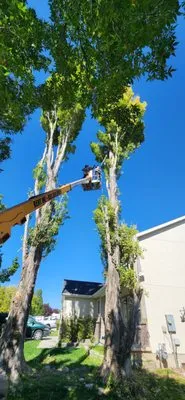 J & S Landscaping Logo