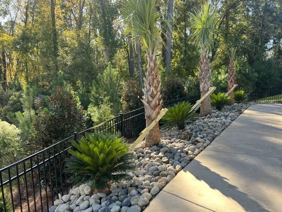 Affordable residential landscaping in Chapin, SC by J & S Lawn & Landscape