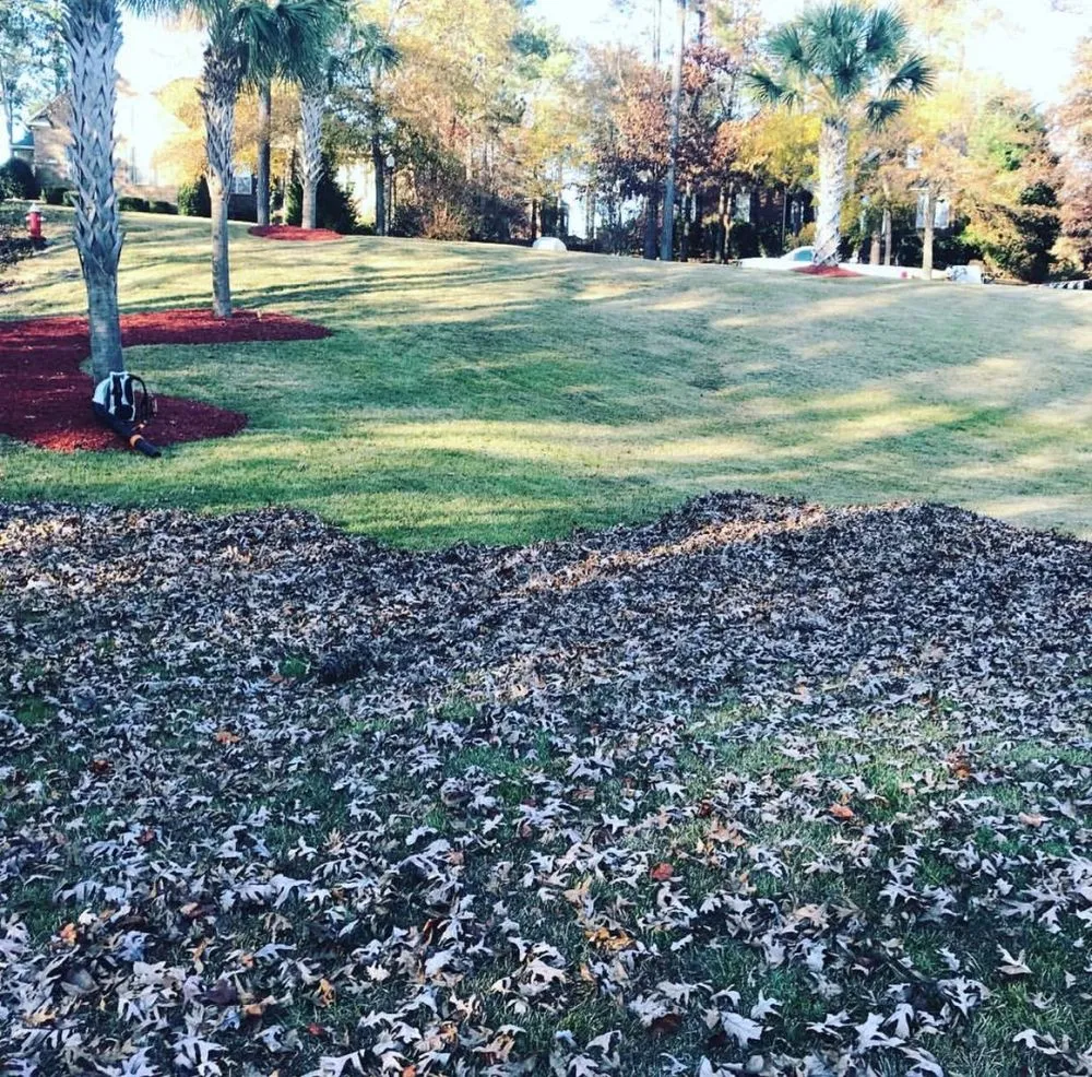 Local yard cleanup service experts serving Chapin, SC - J & S Lawn & Landscape