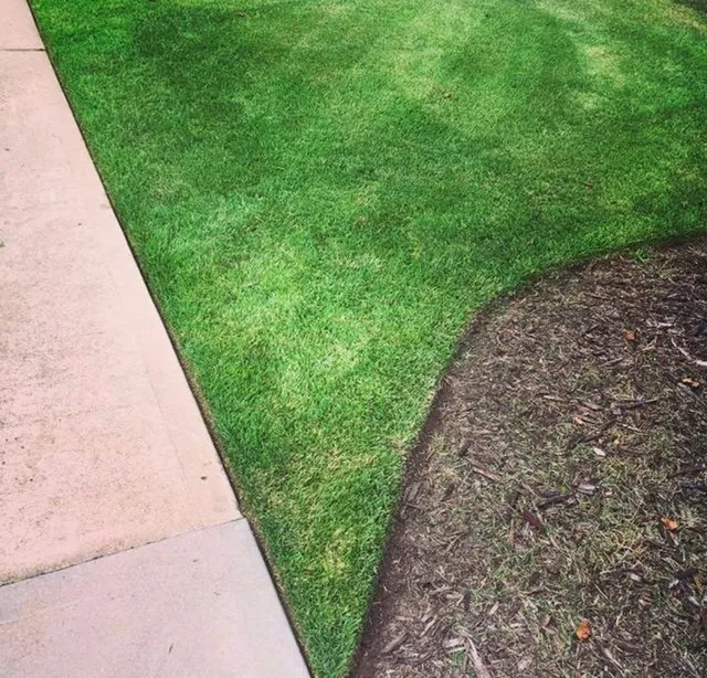 Trusted landscape design in Chapin, SC - J & S Lawn & Landscape