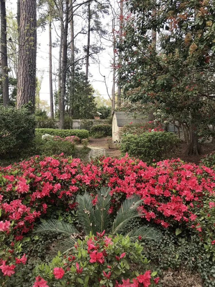 Expert residential landscaping with custom design in Chapin, SC by J & S Lawn & Landscape