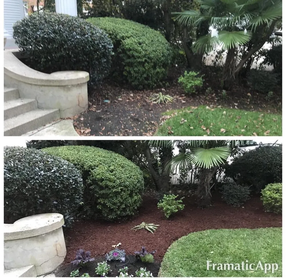 Professional lawn care service in Chapin, SC - J & S Lawn & Landscape