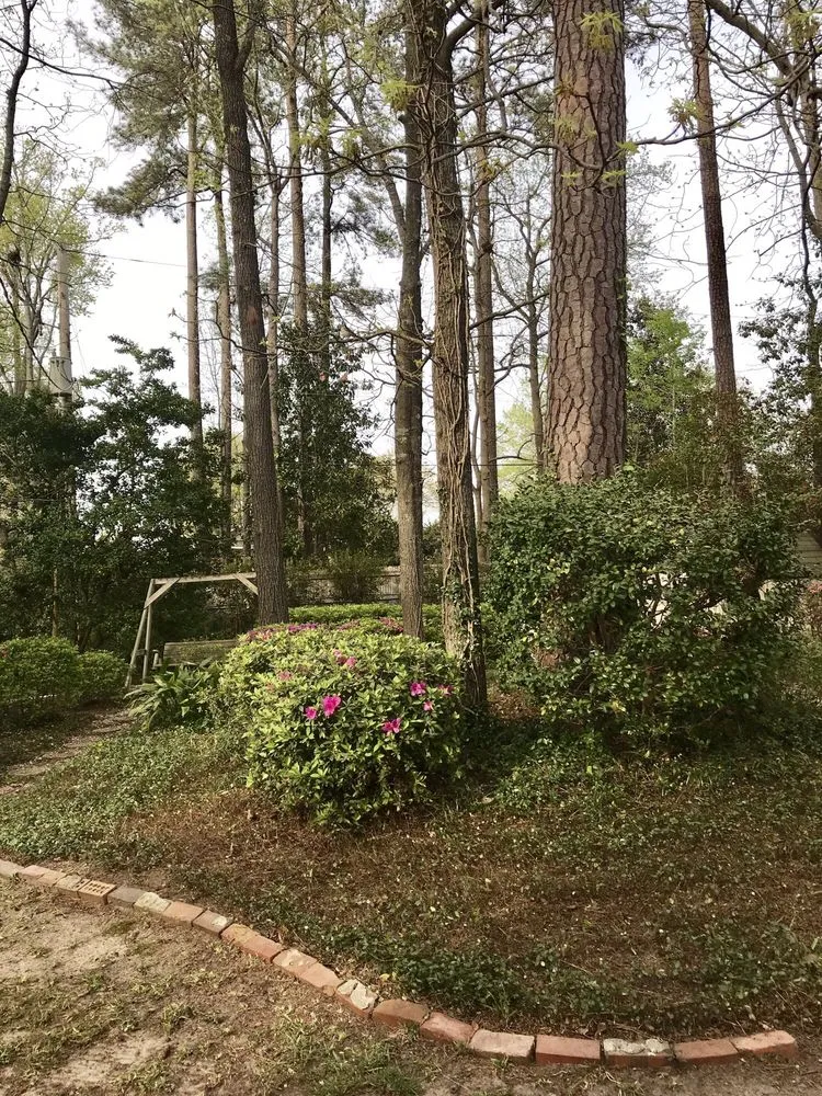 Trusted landscaping services for residential properties in Chapin, SC by J & S Lawn & Landscape