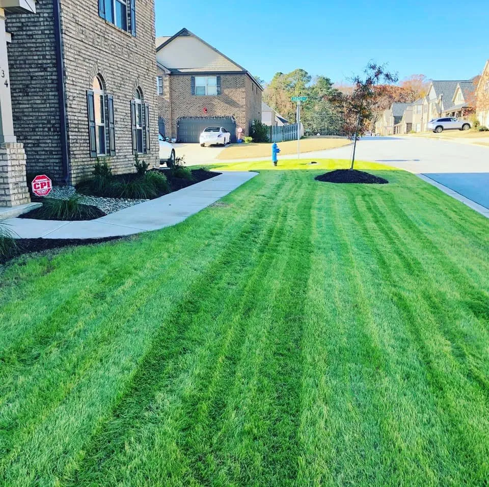 Professional yard cleanup service in Chapin, SC by J & S Lawn & Landscape