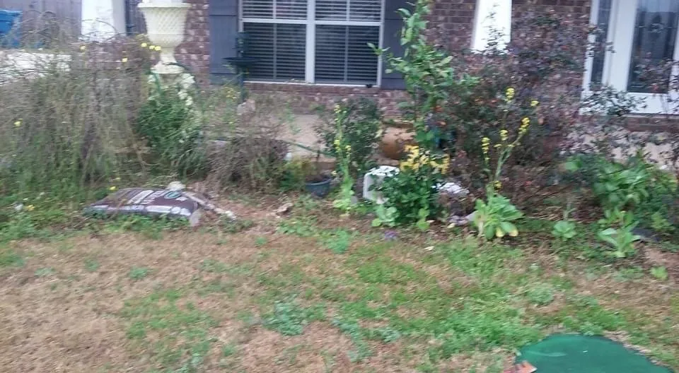 Affordable lawn mowing service for beautiful yards in Mobile, AL by J & S Lawn and Tree Service