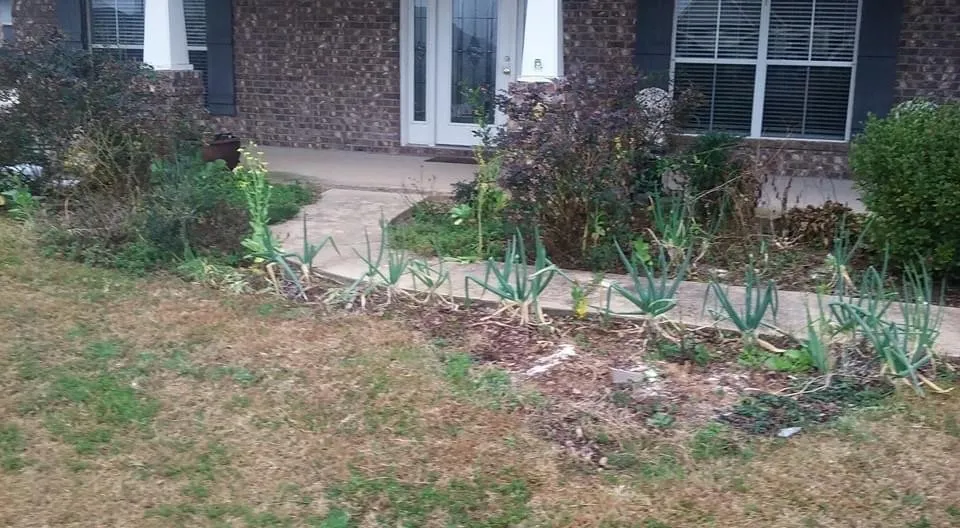 Affordable landscaping services in Mobile, AL by J & S Lawn and Tree Service