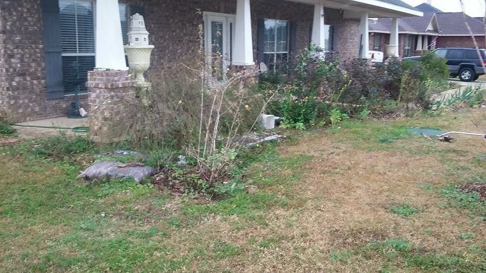 Expert yard maintenance in Mobile, AL - J & S Lawn and Tree Service