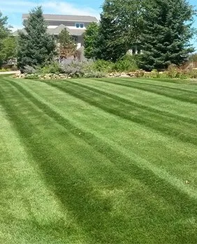 Expert yard cleanup service for beautiful yards in Beldenville, WI by J & S Lawn Care