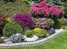 Affordable outdoor landscaping experts serving Montgomery, AL - J & S Professional Lawn Service