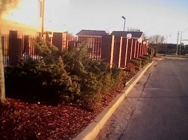 Affordable yard cleanup service for year-round maintenance in Montgomery, AL by J & S Professional Lawn Service