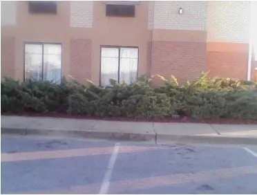 Reliable outdoor landscaping in Montgomery, AL by J & S Professional Lawn Service