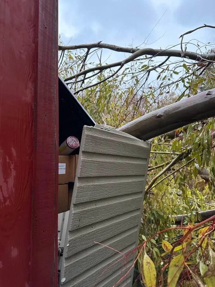 Custom landscaping services in Patterson, CA by J & S Tree Service & Landscape