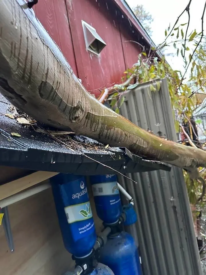 Custom garden landscaping experts serving Patterson, CA - J & S Tree Service & Landscape