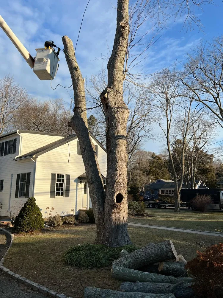 Local yard maintenance experts serving Huntington, NY - J & S Tree Service