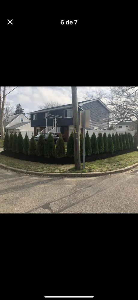 Local landscaping services in Huntington, NY by J & S Tree Service