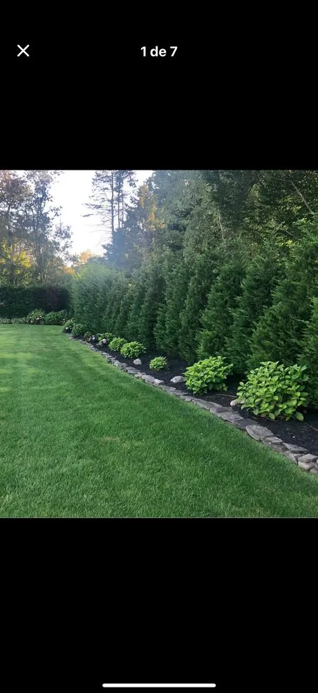 Top-rated residential landscaping in Huntington, NY by J & S Tree Service