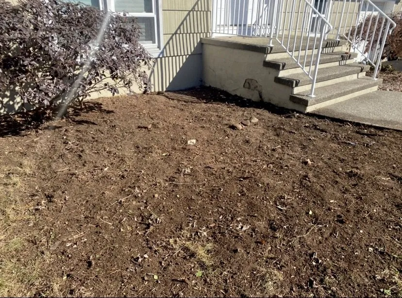 Expert residential landscaping in New Brunswick, NJ by J & Son Landscape Service