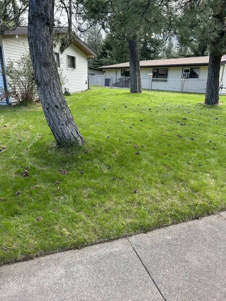 Affordable landscaping services in Spokane, WA by J & Sons Text to Mow