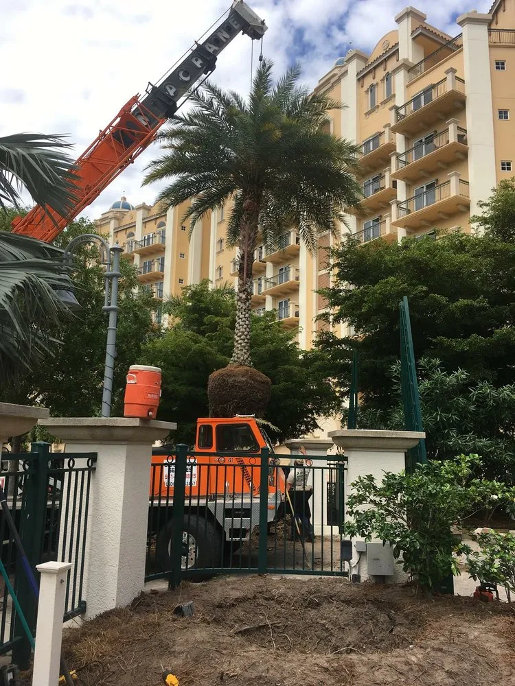 Trusted outdoor landscaping for homes in Venice, FL by J & T Holland