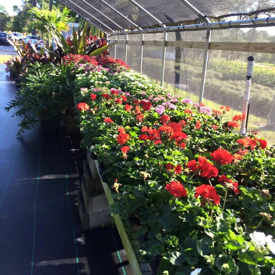 Trusted yard maintenance for homes in Venice, FL by J & T Holland