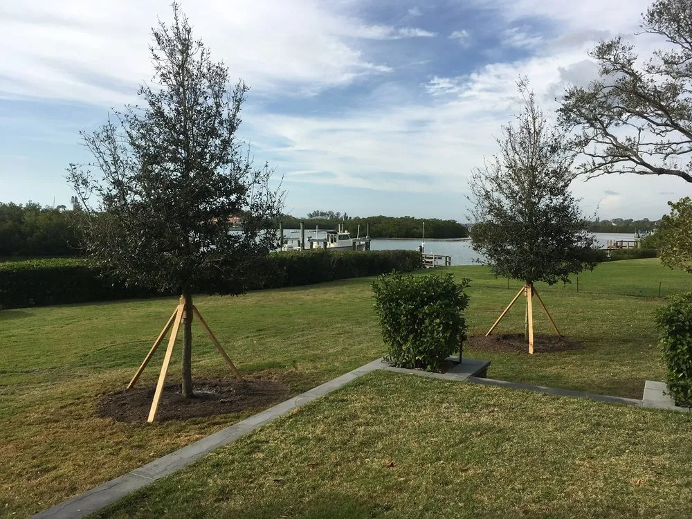 Top-rated outdoor landscaping in Venice, FL by J & T Holland