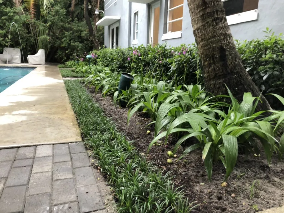 Trusted lawn care service for year-round maintenance in Oakland Park, FL by J & T Landscaping