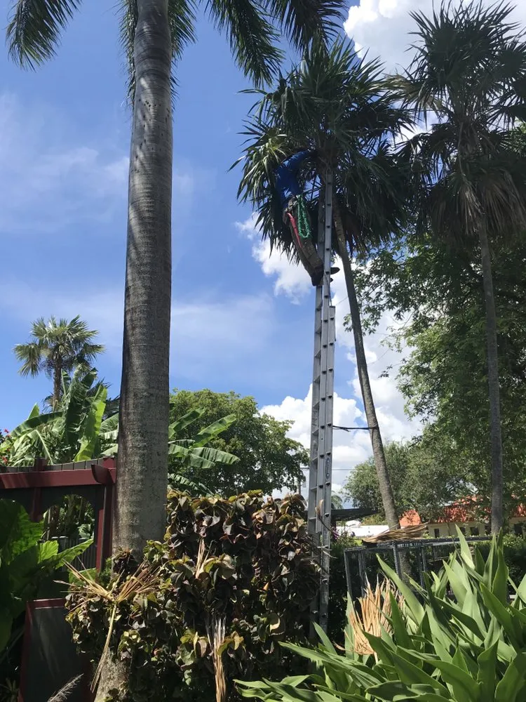 Affordable landscaping services for year-round maintenance in Oakland Park, FL by J & T Landscaping